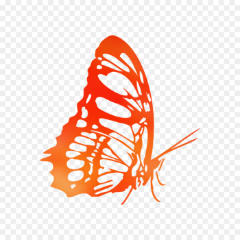 Monarch butterfly Coloring book Illustration Drawing - Monarch butterfly Coloring book Illustration Drawing -