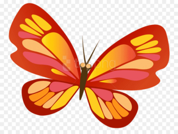 Monarch Butterfly, Insect, Butterfly Weed, Moths And Butterflies, Butterfly PNG