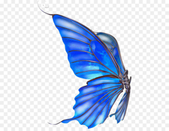 Monarch butterfly Jellyfish Blue - butterfly Monarch butterfly Jellyfish Blue - butterfly