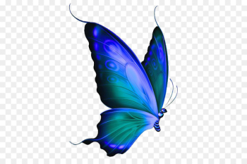Monarch butterfly Morpho menelaus Blue Clip art - butterfly Monarch butterfly Morpho menelaus Blue Clip art - butterfly