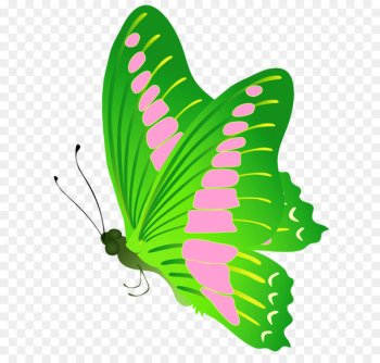 Monarch butterfly Vector graphics Brush-footed butterflies Clip art - butterfly 