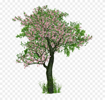 Money Tree Pictures 16, Buy Clip Art - Feline: Notebook / Journal With 150 Lined Pages Money Tree Pictures 16, Buy Clip Art - Feline: Notebook / Journal With 150 Lined Pages