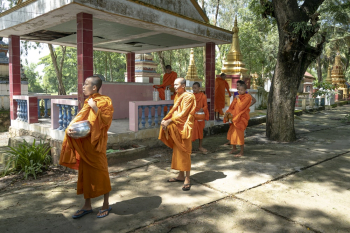 Monk Wearing Orange Robe Monk Wearing Orange Robe