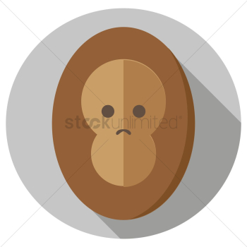 Monkey Monkey