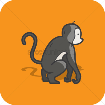 Monkey Monkey