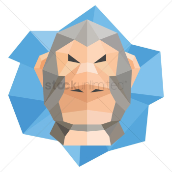 Monkey Monkey