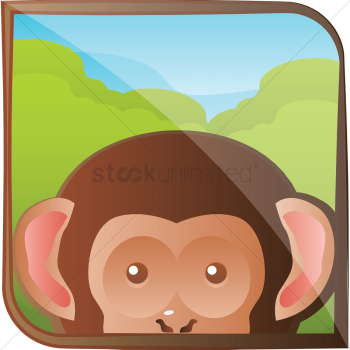 Monkey Monkey