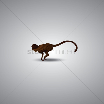 Monkey Monkey