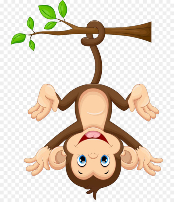 Monkey Cartoon Clip art - monkey Monkey Cartoon Clip art - monkey