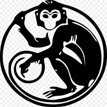 Monkey Chinese zodiac Chinese astrology Chinese New Year - monkey 