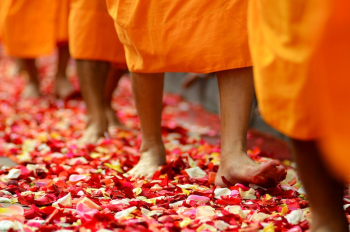 Monks walking on flower petals. | Free Photo - rawpixel