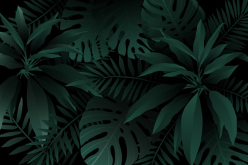 Monochrome green realistic dark tropical leaves background Free Vector Monochrome green realistic dark tropical leaves background Free Vector