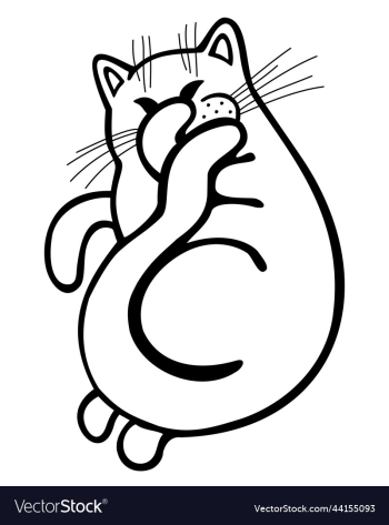 monochrome of cat covering muzzle monochrome of cat covering muzzle