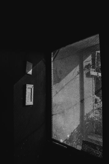 Monochrome Photo of Screen Door Monochrome Photo of Screen Door