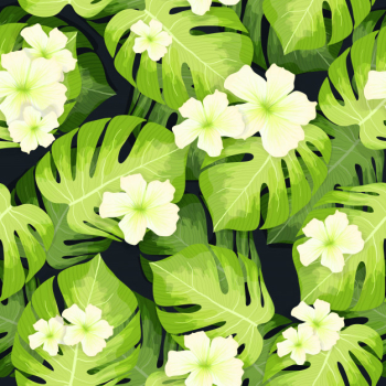 Monstera palm leaves pattern and hibiscus flowers Monstera palm leaves pattern and hibiscus flowers