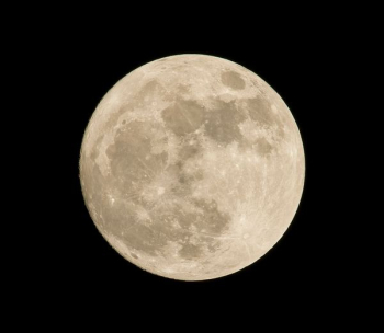 moon moon
