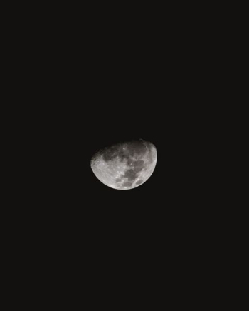 moon moon