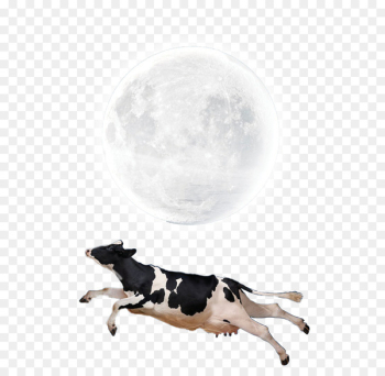 Moon Lunar phase Wallpaper - Flying Cow Moon Creative Moon Lunar phase Wallpaper - Flying Cow Moon Creative
