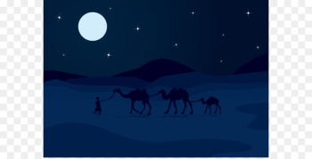 Moonlight Sky Night Illustration - Vector night sky camel Moonlight Sky Night Illustration - Vector night sky camel