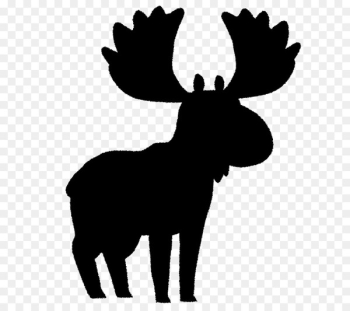 Moose Cattle Reindeer Mammal Antler - Moose Cattle Reindeer Mammal Antler -