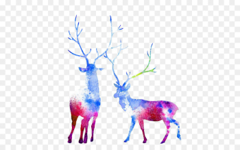 Moose Reindeer Watercolor painting Elk Capreolinae - Watercolor deer 