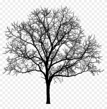 More Artists Like Stock - Winter Tree Silhouette Png More Artists Like Stock - Winter Tree Silhouette Png