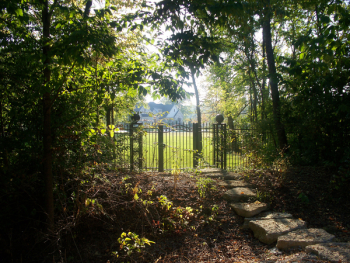 Morning Gate.jpg Morning Gate.jpg