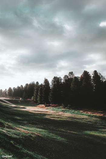 Morning light over a green meadow | Free stock photo - 488306 Morning light over a green meadow | Free stock photo - 488306