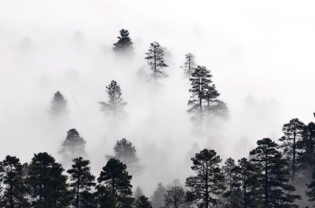 Morning misty clouds settle in East | Free Photo - rawpixel