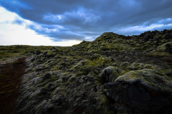 Mossy Rocky Mountain Terrain Mossy Rocky Mountain Terrain