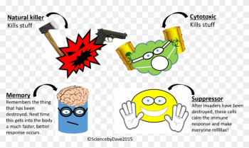 Most Important Of All The Adaptive Immune System Produces - Natural Killer Cell Cartoon