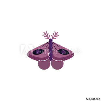 moth insect animal icon moth insect animal icon