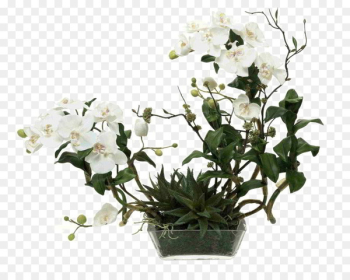 Moth orchids Artificial flower Glass - White flower glass flower 
