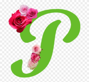 Mother's Day 2017 Is Coming - Garden Roses Mother's Day 2017 Is Coming - Garden Roses