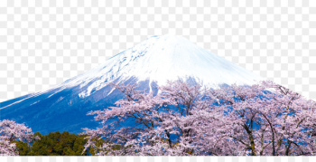 Mount Fuji Xueshan Stock photography - Japan Fuji Snow Mountain 