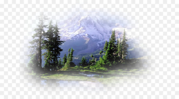 Mount Rainier, Snow Lake, Van Trump Park Trail, Nature, Natural Landscape PNG