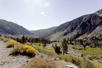 Mountain Mountain