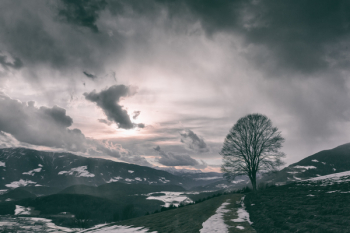 Mountain Mountain