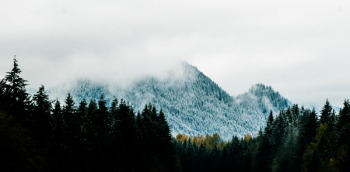Mountain Alps Near Pine Trees Mountain Alps Near Pine Trees