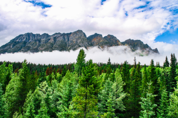 Mountain Covered With Fog Under Cloudy Sky Mountain Covered With Fog Under Cloudy Sky