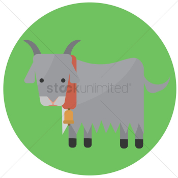 Mountain goat Mountain goat