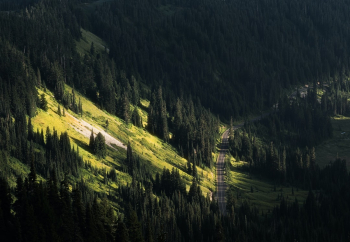 Mountain Rainier National Park, WA Mountain Rainier National Park, WA