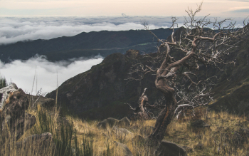 Mountain Scenery Mountain Scenery