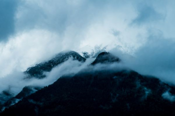 mountain with trees covered with clouds