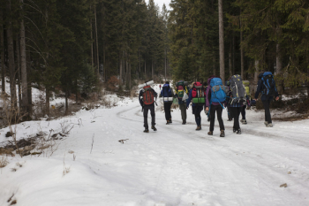 Mountaineers Walking on Snow Mountaineers Walking on Snow