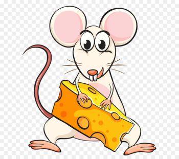 Mouse Rat Cheese Eating Clip art - Eating rat 