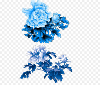 Moutan peony Flower - Peony flower material Moutan peony Flower - Peony flower material