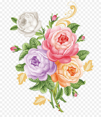 Moutan peony Garden roses - Hand colored peony Moutan peony Garden roses - Hand colored peony
