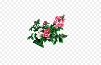 Moutan peony Mooncake - peony Moutan peony Mooncake - peony