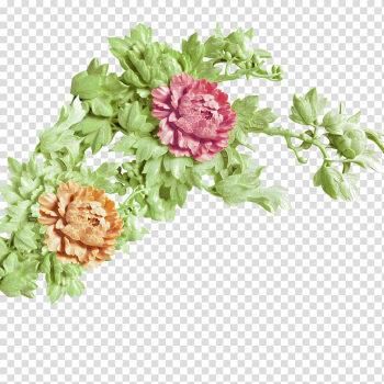 Moutan peony , peony transparent background PNG clipart Moutan peony , peony transparent background PNG clipart